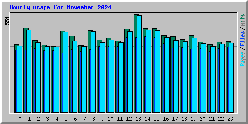 Hourly usage for November 2024
