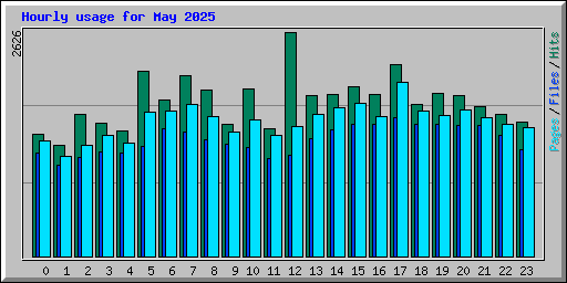 Hourly usage for May 2025