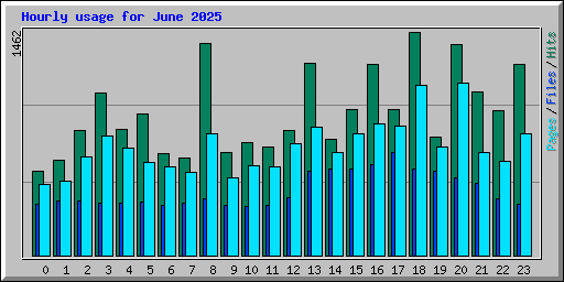 Hourly usage for June 2025