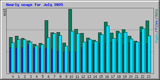 Hourly usage for July 2025