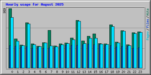 Hourly usage for August 2025